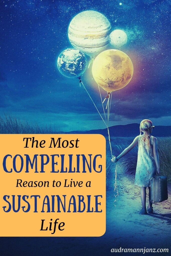 Most Compelling Reason to Live a Sustainable Life Pin