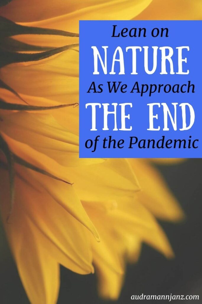 Pinterest Figure Lean on Nature as We Approach the End of the Pandemic